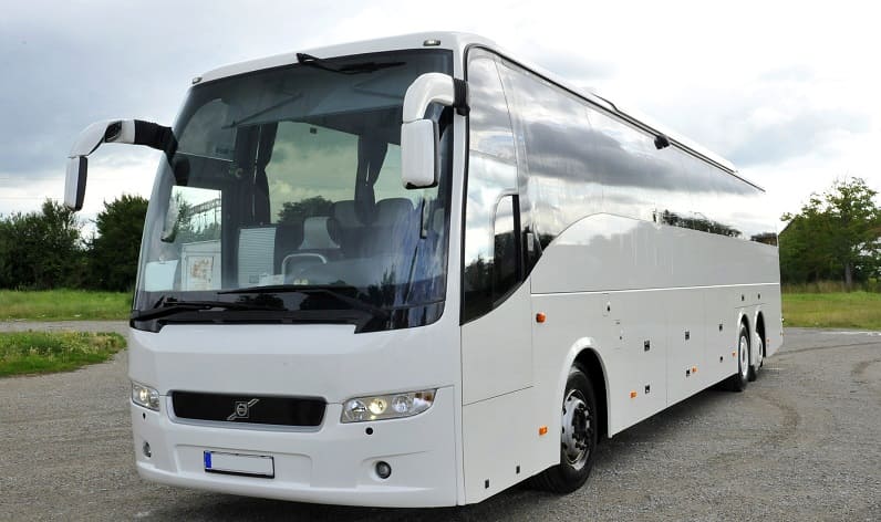Nouvelle-Aquitaine: Buses agency in Bordeaux in Bordeaux and France