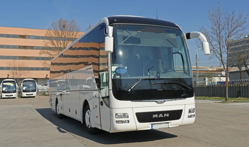 Occitanie: Buses operator in Blagnac in Blagnac and France