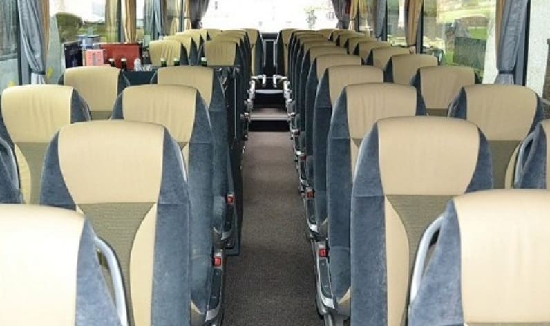 France: Coach operator in Nouvelle-Aquitaine in Nouvelle-Aquitaine and Limoges