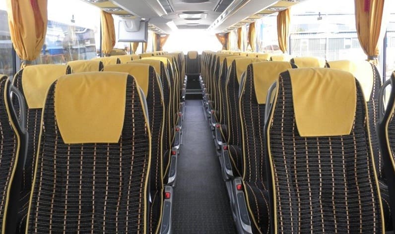 France: Coaches reservation in Nouvelle-Aquitaine in Nouvelle-Aquitaine and Libourne